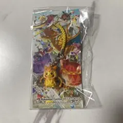 ポケモンセンター メガトーキョー ポンチョ ピカチュウ (リザードン)
