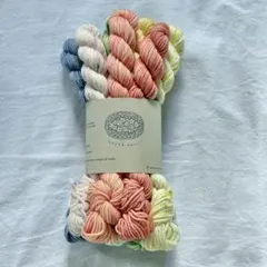 手染め毛糸 手染め糸 ソックヤーン tarte tatin