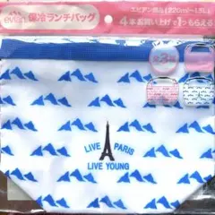 evian♡保冷ランチバッグ／非売品