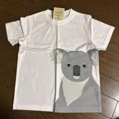 Item thumbnail for item 8577364a-4c92-4805-8f32-18921696b157