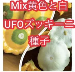 nobsan様 リクエスト 3点 まとめ商品