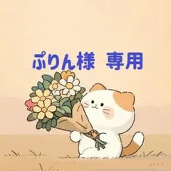 ぷりん様　専用(12/13迄)