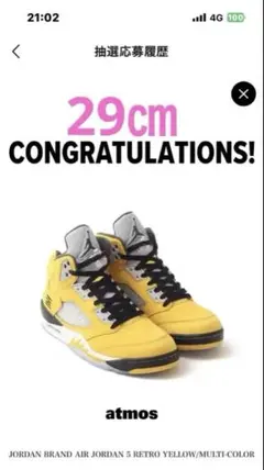 Air Jordan 5 Retro Tokyo 23 AJ5 ジョーダン