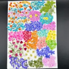 Item thumbnail for item 1804e739-f6bc-4d4d-8fe0-4374ab13a7c0