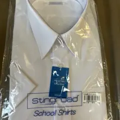 Item thumbnail for item 458ad982-cf8c-4d87-923d-96d31dbdc02d