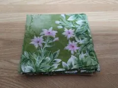 Item thumbnail for item 3d1ff7dc-eda9-47b6-9270-d1d8c19e3a5d