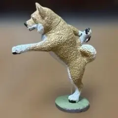 2026年最新】朝隈俊男 犬の人気アイテム - メルカリ