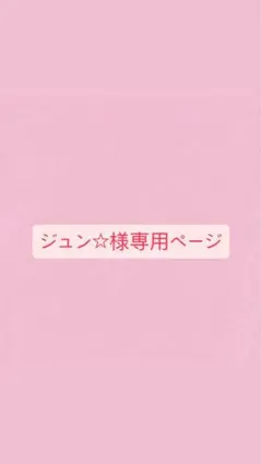 ジュン☆様専用ページ