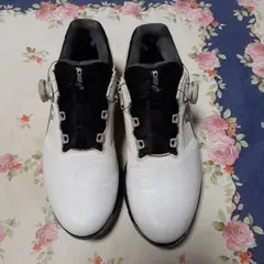 アシックスゴルフシューズ (TGN 922)