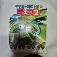 小学館の図鑑 NEO　昆虫2