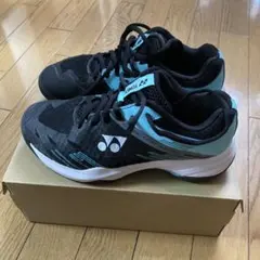 Item thumbnail for item f0b1105a-bda5-4fed-932b-610c80356d3c