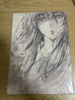 innocent grey カルタグラ　特製ペーパーファイル