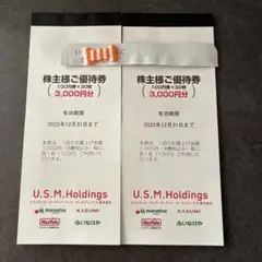 【即日発送】USMH 株主優待券 100円券×30枚×2セット 6000円分