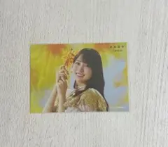 2026年最新】賀喜遥香 生写真の人気アイテム - メルカリ