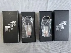 Item thumbnail for item 45bb6403-cc3d-4f23-9898-13ce8edab7dd