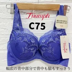 Item thumbnail for item 317a8251-ebb9-498e-9bd3-977c41a849c3