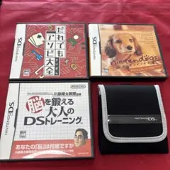 ニンテンドーDS ケースのみ3本セット&ブラックポーチ