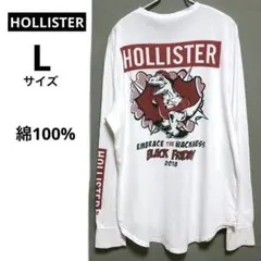 古着HOLLISTER プリントTシャツ　BLACK FRIDAY 2018