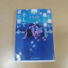 海に願いを風に祈りをそして君に誓いを 汐見夏衛