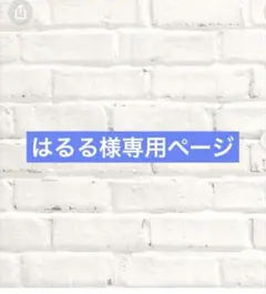 はるる様 リクエスト 26点 まとめ商品