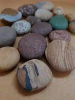 石ころ　青森県津軽西海岸　錦石　天然石　小石　原石　観賞石　置物　珪化木　木化石