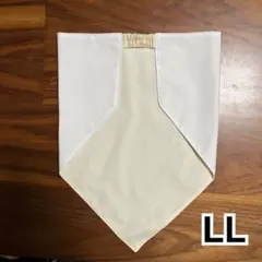 Item thumbnail for item 4d0eb6dd-0d76-47b1-bf99-9f1f6808016d