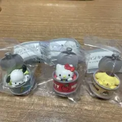 サンリオ　カンキャラ　キティ　ポムポムプリン　ポチャッコ