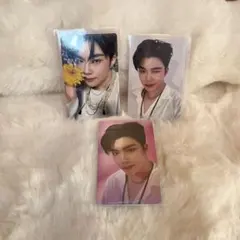 ゼベワン ゴヌク ゆらゆら 封入トレカフルセット