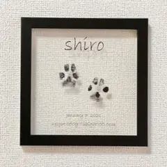 Item thumbnail for item bdc60cae-4086-46d0-8086-a565b789a607