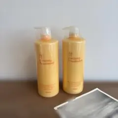 アジュバン　Emissary Treatment 1020g 2本セットのサムネイル
