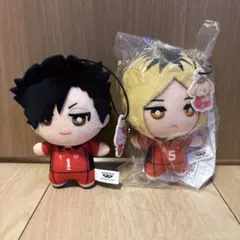 ハイキュー!! サンリオキャラクターズ ちみっともぬい 黒尾鉄朗 孤爪研磨セット