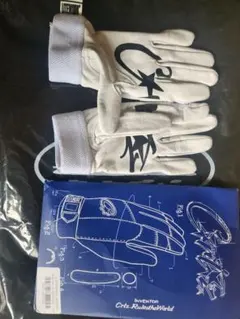 シ*ム様 上福元直人 サイン入りグローブ 2個セット シ*ム様 上福元直人 サイン入りグローブ 2個セット - メルカリ