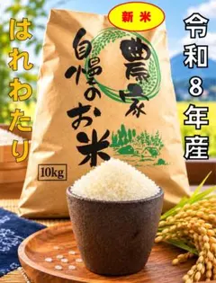 令和7年産(青森県はれわたり) 玄米20kg (10kg×2袋) - メルカリ