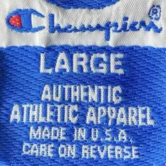 USA製 チャンピオン Tシャツ レジスター レジ目 R 珍ピオン ブラック 黒