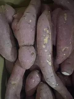 大人気商品復活！　甘〜い　大分県産　紅はるか　10kg 大容量　さつまいも　蜜芋