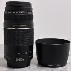 2026年最新】canon kiss x9i 望遠レンズの人気アイテム - メルカリ