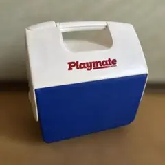 Item thumbnail for item 15b4b9be-c186-4f8f-b113-3eb475adad2a