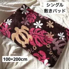 本日限定⭐️明日処分 ホヌ モンステラ敷きパッド シングル 100x200cm