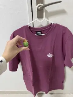 Stussy パープル Tシャツ 牛デザイン