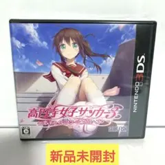 高円寺女子サッカー3 〜恋するイレブン いつかはヘブン〜