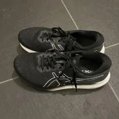 アシックス　evoride3 27cm