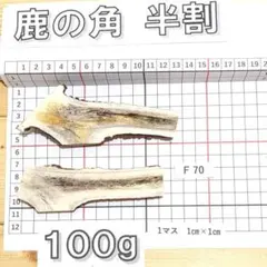 鹿の角 半割 F70 100g 兵庫県産 鹿角 鹿のツノ しかつののサムネイル