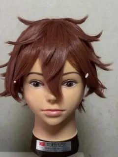 コスプレ ウィッグ ツイステ エース・トラッポラ