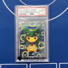 2026年最新】ポンチョを着たピカチュウ レックウザの人気アイテム