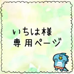 いちは様専用ページ　パラコード　ペットボトルホルダー