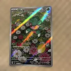 カリキリ AR M 拡張パック アビスアイ　パワープロテインつきのサムネイル