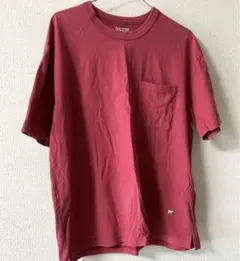 ゴールデンベアのサムネイル
