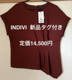 新品未使用タグ付き！INDIVI カットソー　13号　定価14,500円のサムネイル