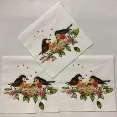 鳥シリーズ➇ ペーパーナプキン10枚組合せ - メルカリ