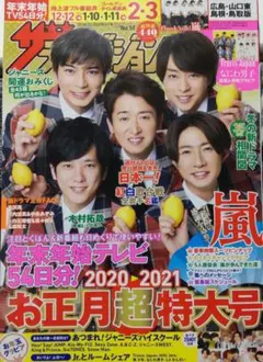 ザテレビジョン 2020-2021お正月超特大号